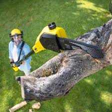 Lawn Drainage Solutions in Crestview, FL